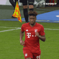 Champions League Football GIF by FC Bayern Munich