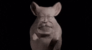 Ccp GIF