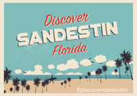sandestin beach florida 30a destin GIF