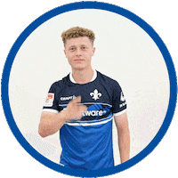 2 Bundesliga Football Sticker by SV Darmstadt 1898 e.V.