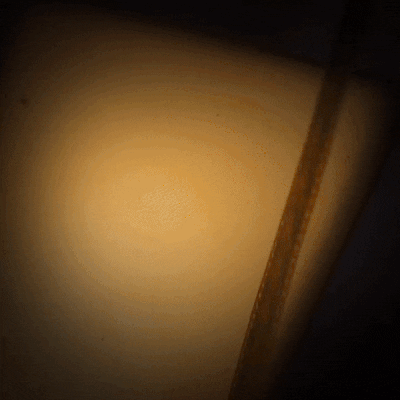 BeNatural film movies woman black and white GIF