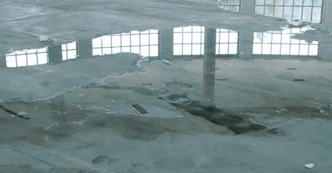 Dance Dancing GIF