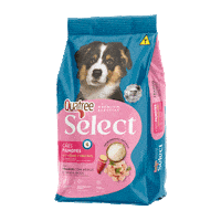 Quatreeselect Sticker by Quatree