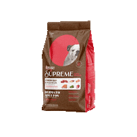 Supreme Sticker by Quatree