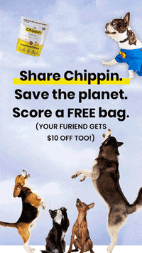 Chippin  GIF