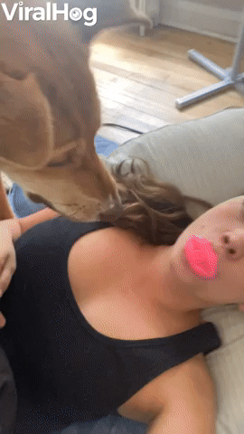 Breakfast the Dog Doesn't Like Kazoos