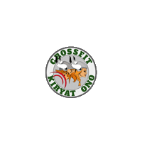 cfkono crossfit vikings viking ישראל Sticker