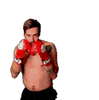 Personal Trainer Fighting Sticker by Coach Josh