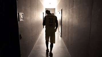 EWE_Baskets playoffs bbl oldenburg ewe baskets GIF