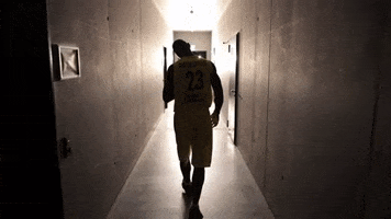EWE_Baskets basketball bbl oldenburg ewe baskets GIF