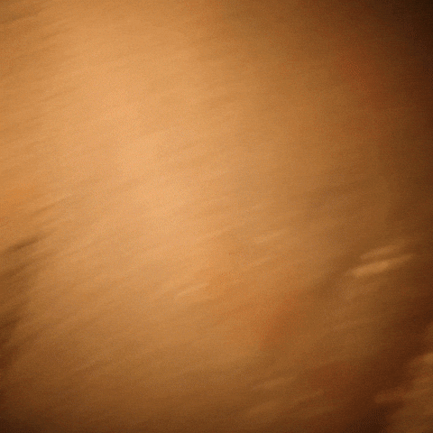 Halloween No GIF by Exclusive Brands