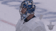 ice hockey hug GIF by NHL