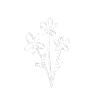 Flower Stars Sticker