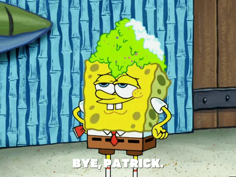 season 5 episode 3 GIF by SpongeBob SquarePants