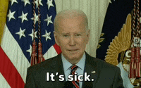 Joe Biden GIF by GIPHY News