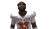 Scream Flex Sticker by Carson-Newman Athletics