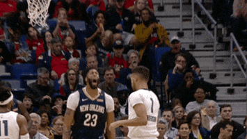 excited new orleans pelicans GIF by NBA