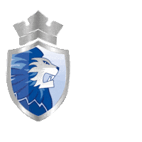 Lionsdordrecht Sticker by @dordrechtlions