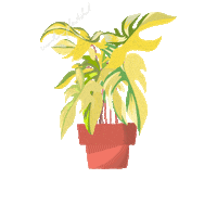 Beauty Florida Sticker