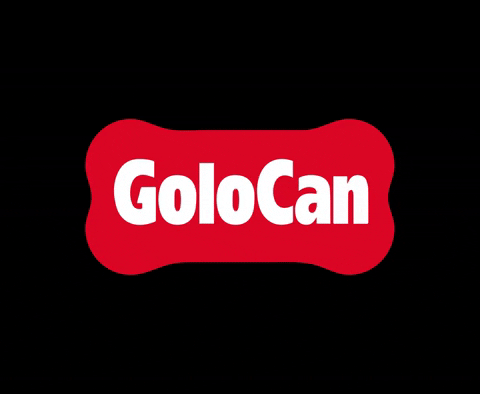 Golocan giphyupload snacks perro golocan GIF