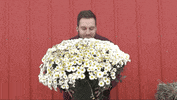 White Girl Fall GIF by Trey Kennedy