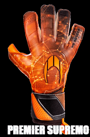 hosoccer giphygifmaker gloves guantes hosoccer GIF