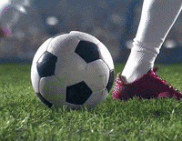 GIF by PlayerzPot