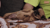 Quit Being Cute