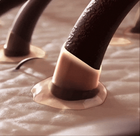LittleTreasures4u giphyupload GIF