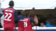 Goal Quincyamarikwa GIF by Perfect Soccer