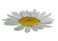 university practice STICKER