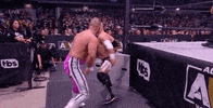 All Elite Wrestling GIF by AEWonTV