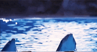 the hitchhikers guide to the galaxy dolphin GIF