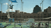 swinging abbi jacobson GIF by Broad City