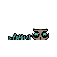 CoffretChouette coffret de la chouette coffret chouette Sticker