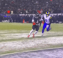 Los Angeles Football GIF