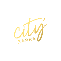 city-barre barre rva citybarre Sticker