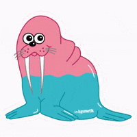 imkosmetik морж морик маржа GIF