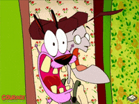 scared cartoon network GIF