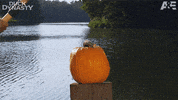duck dynasty GIF by A&E