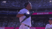 Sport Baseball GIF by MLB