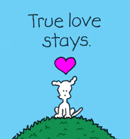 I Love You GIF by Chippy the Dog