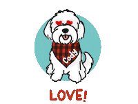 Cody Codybear Sticker