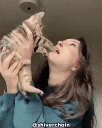 Cat Eat GIF