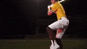 College Baseball GIF by Pearl River Athletics