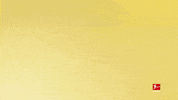 Borussia Dortmund Football GIF by Bundesliga