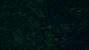 Neon Glow GIF by Rainhouse