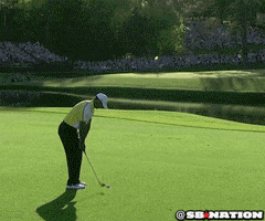 tiger woods GIF by SB Nation