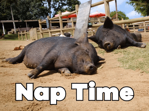 Sleepy Rise And Shine GIF by Sealed With A GIF