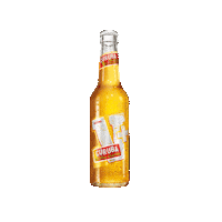 party beer Sticker